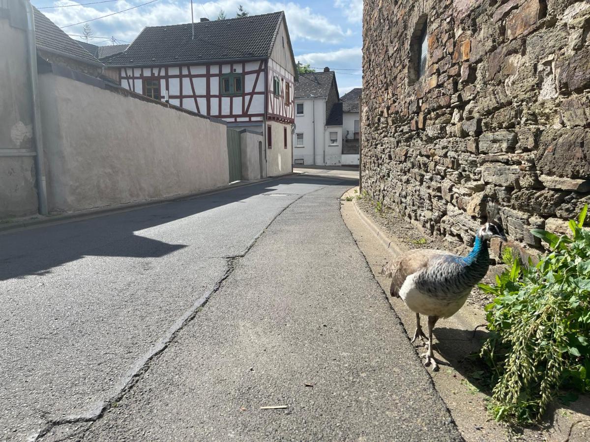 Keller Hoehe Andernach Extérieur photo