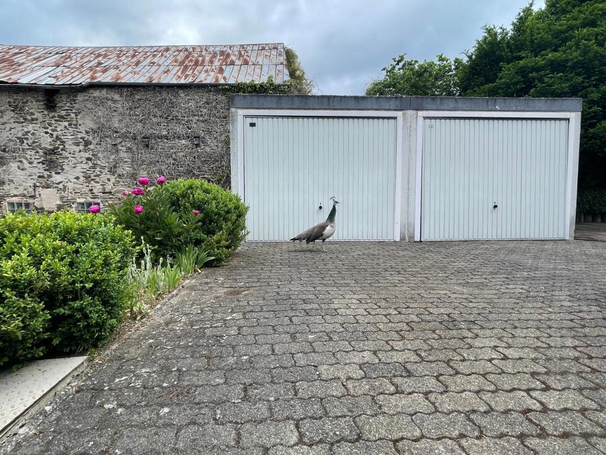 Keller Hoehe Andernach Extérieur photo